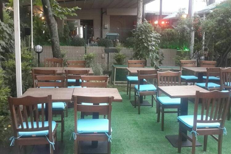 holland lop cafe umitkoy ankara